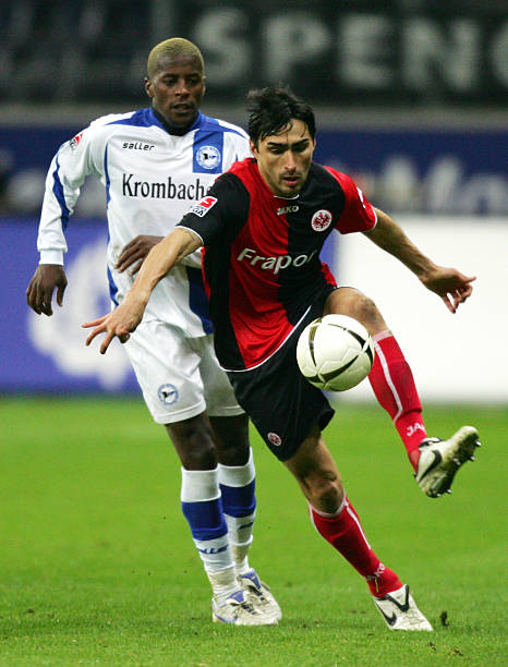 托纳利的职 托纳利的职