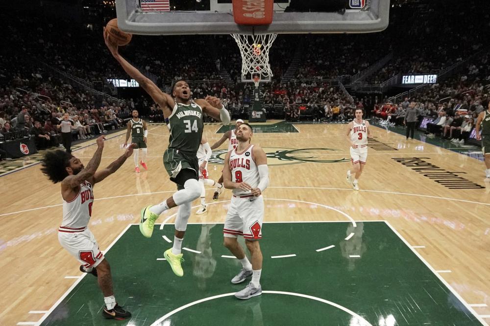 但灰熊的团 但灰熊的团